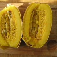 [12P107] Courge Spaghetti