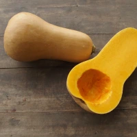 [12P109] Courge musquée Butternut Waltham