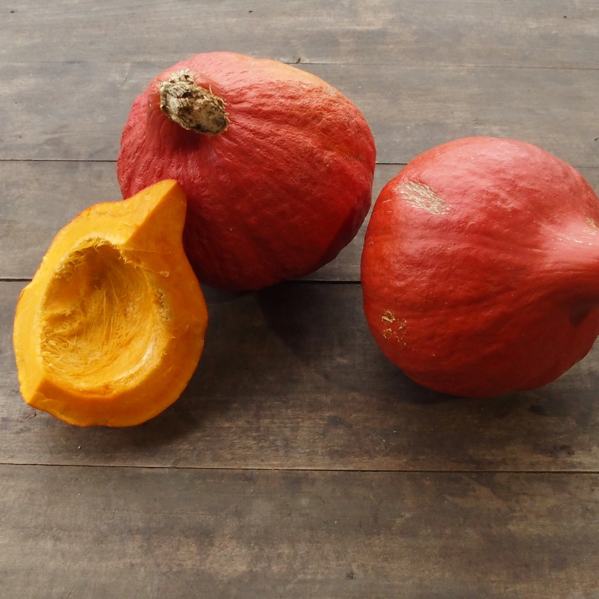 [12P113] Potimarron Red kuri