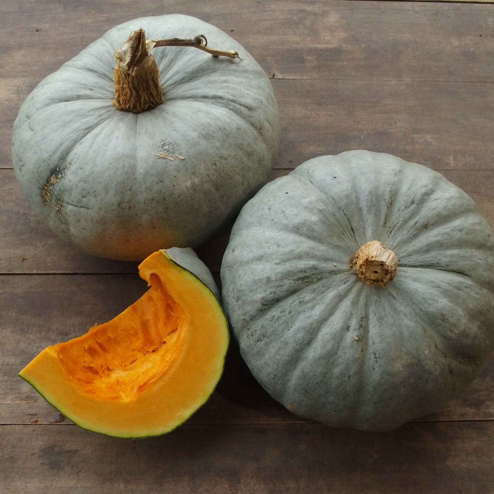 Potiron Bleu de Hongrie