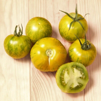 [17P140] Tomate Green Zebra